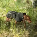 Back on Track Bark Allround Hundemantel olivgrün