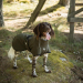 Back on Track Bark Allround Hundemantel olivgrün 30