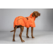 Back on Track BAY Hunde-Regenmantel, niedriger Rutenansatz orange