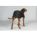 Back on Track BAY Hunde-Regenmantel, hoher Rutenansatz schwarz