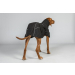 Back on Track BAY Hunde-Regenmantel, hoher Rutenansatz schwarz 65 cm