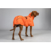 Back on Track BAY Hunde-Regenmantel, hoher Rutenansatz orange