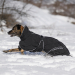 Back on Track BAY Hunde-Wintermantel, 120 g, niedriger Rutenansatz, schwarz