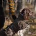 Back on Track BAY Hunde-Wintermantel, 200 g, niedriger Rutenansatz, schwarz 60 cm