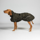 Back on Track BAY Hunde-Wintermantel, 200 g, niedriger Rutenansatz, olivegrün 25 cm