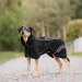 Back on Track BAY Netz-Hundemantel, Hoher Rutenansatz, schwarz 65 cm