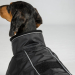 Back on Track BUDDY 2.0 Winter-Hundemantel schwarz