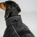 Back on Track BUDDY 2.0 Winter-Hundemantel schwarz 38  cm