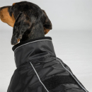 Back on Track BUDDY 2.0 Winter-Hundemantel schwarz 56 cm