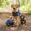 Cool on Track - Kühl-Hundemantel 2.0