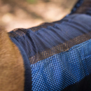 Cool on Track - Kühl-Hundemantel 2.0 60 cm