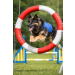 CaniCool PCM Kühlweste Hund – 21°C/29°C konstante Kühlung, trocken