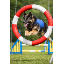 CaniCool Kühlweste für Hunde mit PCM Technologie – konstante Kühlung 21°C oder 29°C – wiederverwendbar, ohne Wasser – Hundekühlweste gegen Hitze S 21 Grad