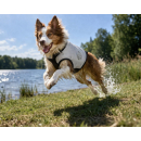 Cani.cool DRY Kühlweste für Hunde – Verdunstungskühlung | bis zu 72 Stunden Kühlung | 100% trocken