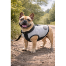 Cani.cool DRY Kühlweste für Hunde – Verdunstungskühlung ohne Kühlpacks – sofort einsatzbereit & wiederverwendbar – Hundekühlweste gegen Hitze XL