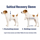 Suitical Recovery Sleeve® – Professioneller Vorderbeinschutz für Hunde