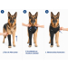 Suitical Recovery Sleeve® – Professioneller Vorderbeinschutz für Hunde