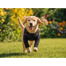 Suitical Recovery Double Sleeve® – Schutzstrumpf für beide Vorderbeine