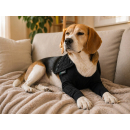 Suitical Recovery Double Sleeve® – Schutzstrumpf für beide Vorderbeine