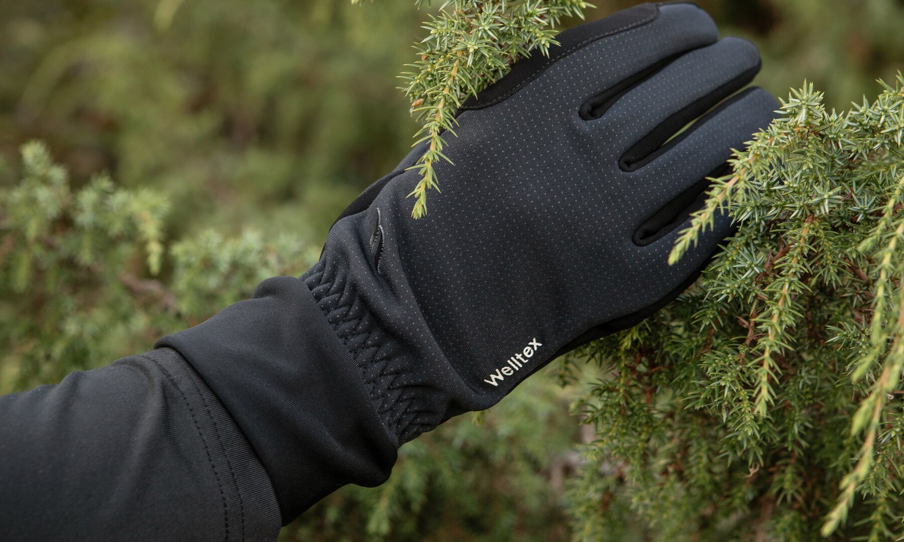 Handschuhe