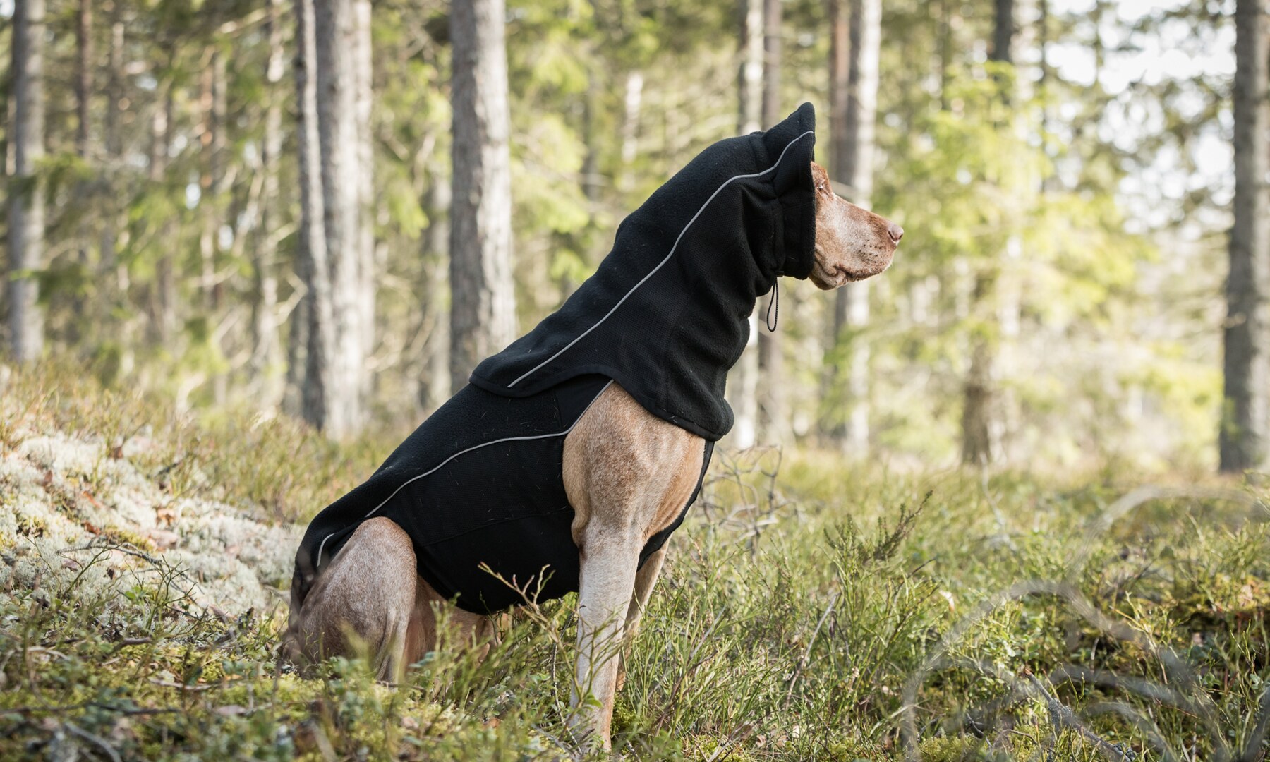 Nackenwärmer