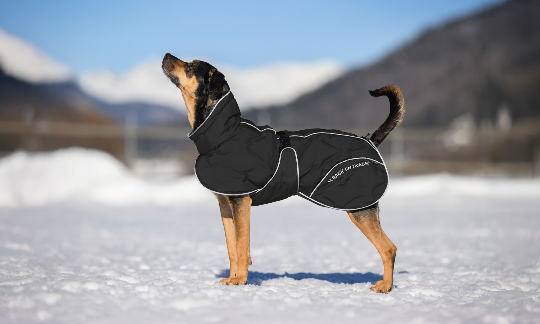 Wintermäntel bei Mobility in Harmony