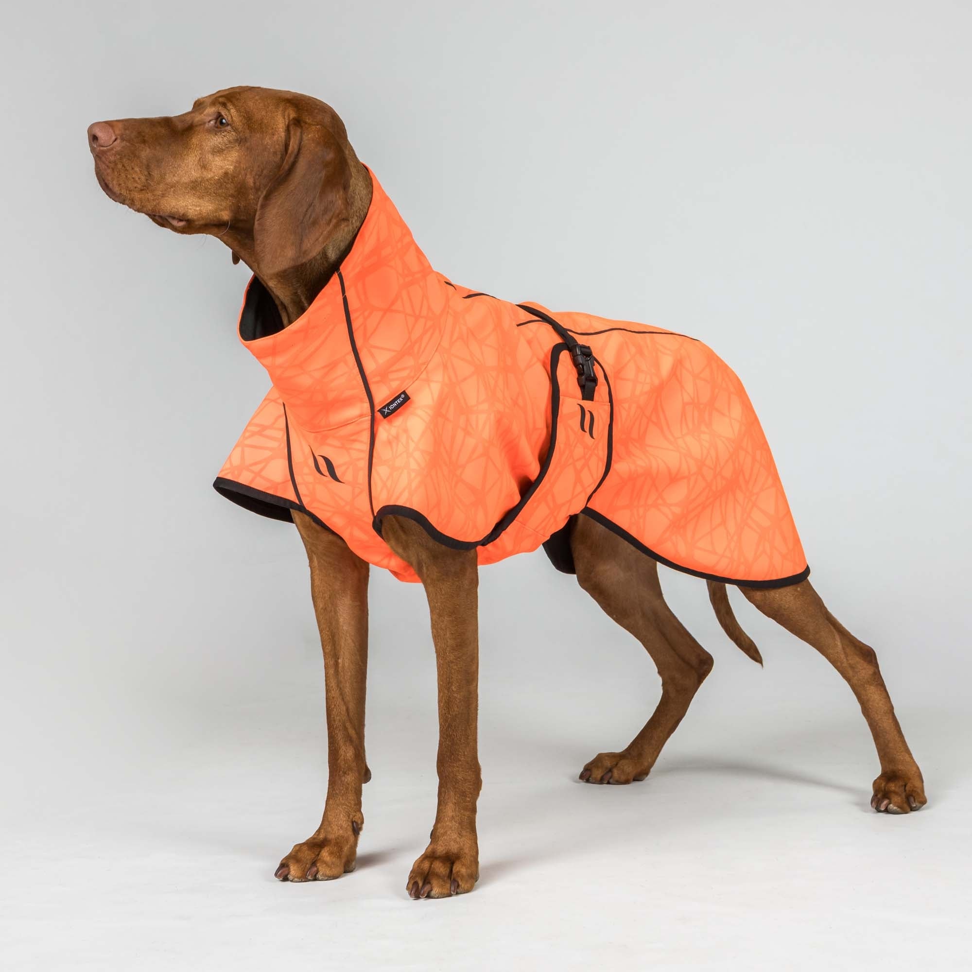 Back on Track BARK Softshell-Hundemantel, Niedriger Rutenansatz – Produktdetail