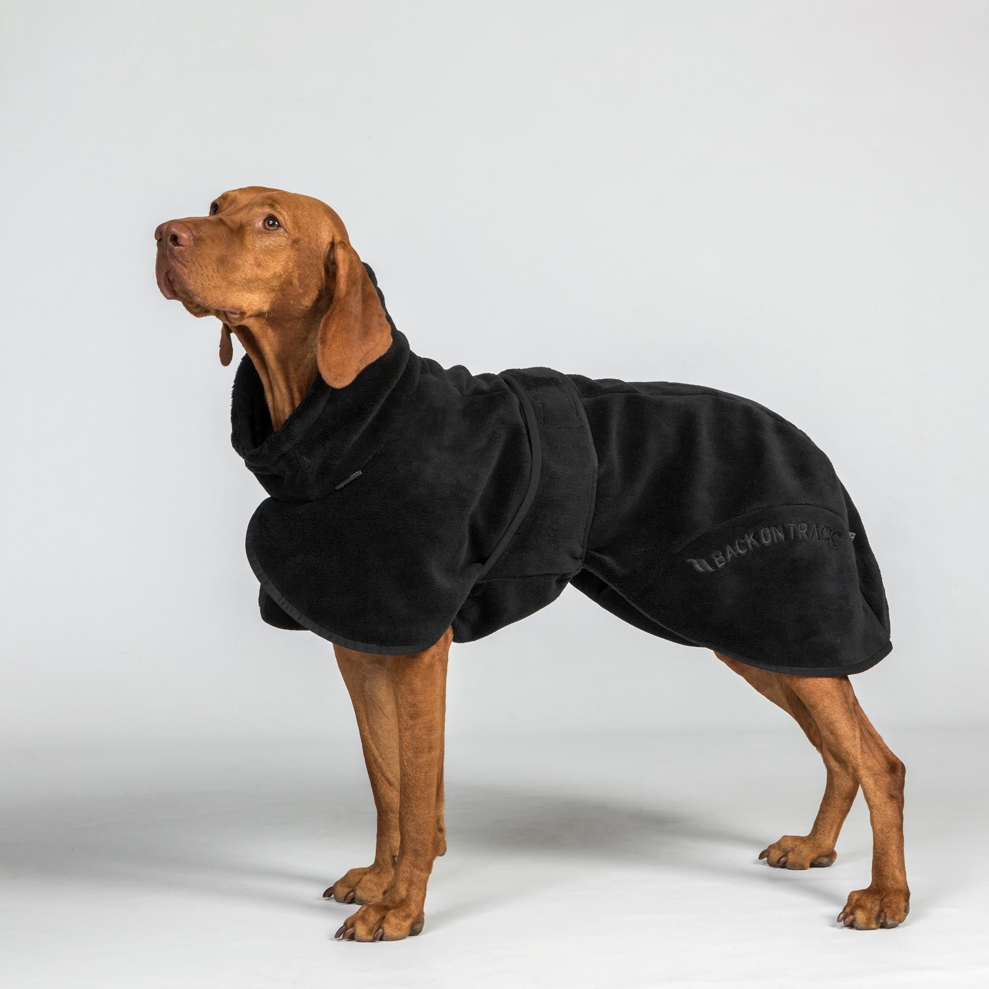 Back on Track BAY Hunde-Bademantel, Niedriger Rutenansatz – Produktdetail