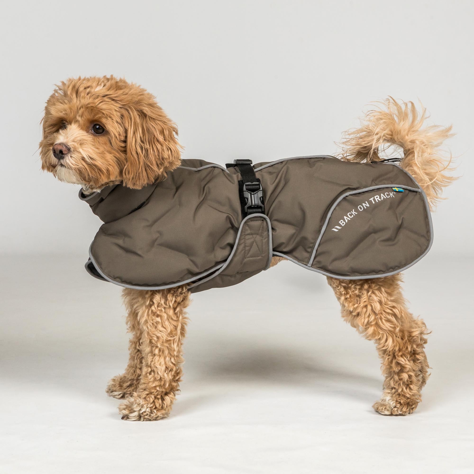 Back on Track BAY Winter-Hundemantel, 120 g, Hoher Rutenansatz – Produktdetail