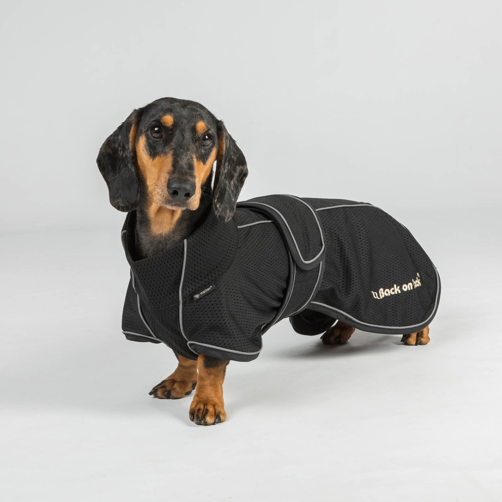 Back on Track BUDDY 2.0 Netz-Hundemantel – Produktdetail