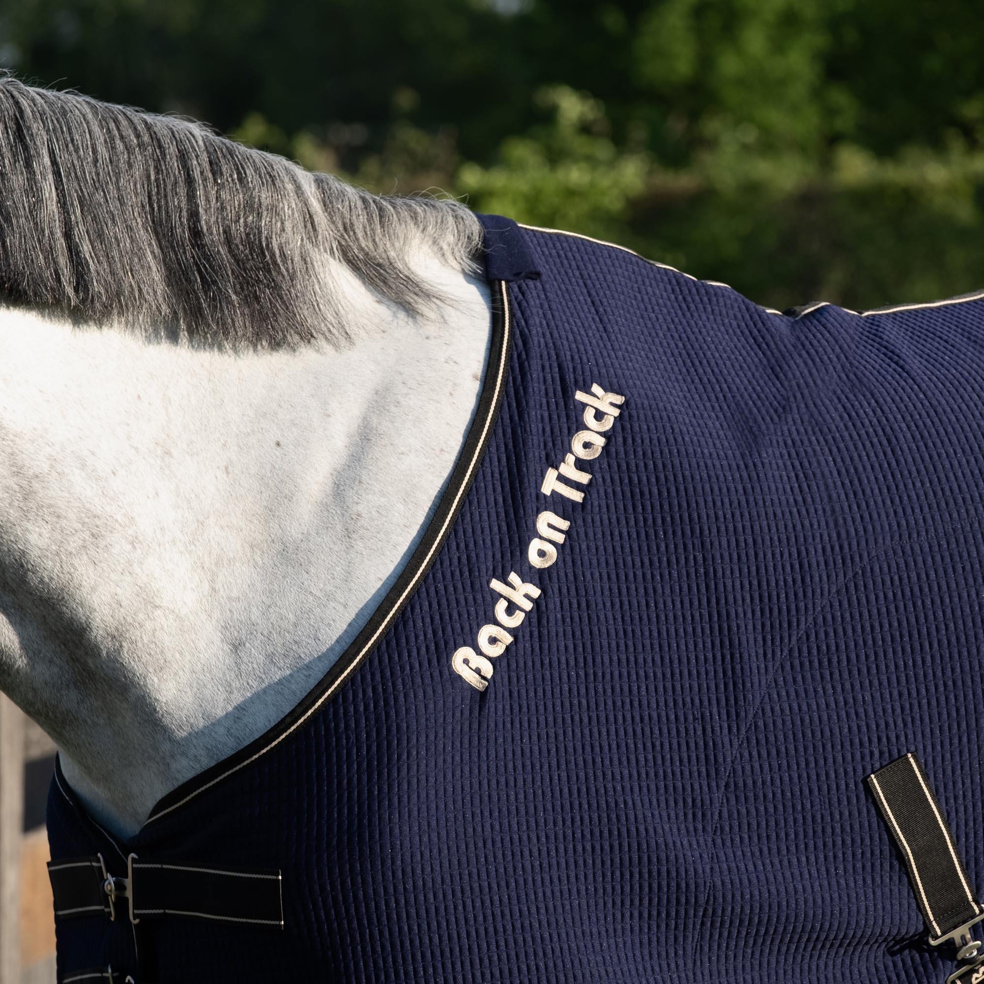 Back on Track Quick Cooler Abschwitzdecke – Produktdetail
