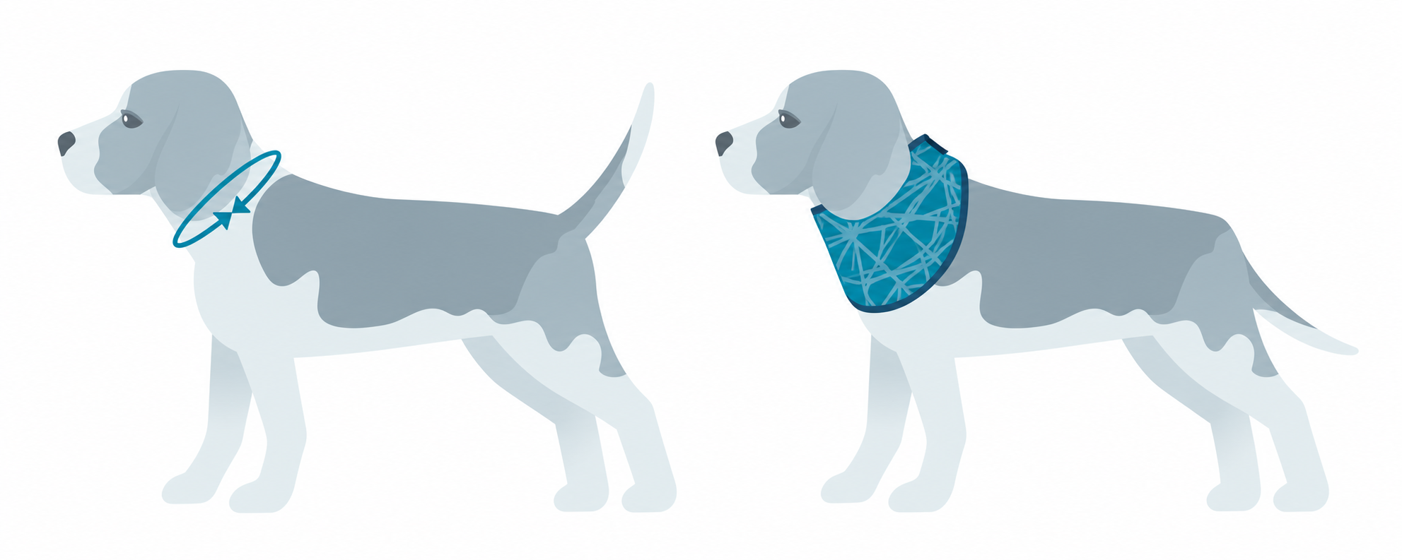 Draco Bandana: Den Halsumfang an der üblichen Halsbandposition messen.