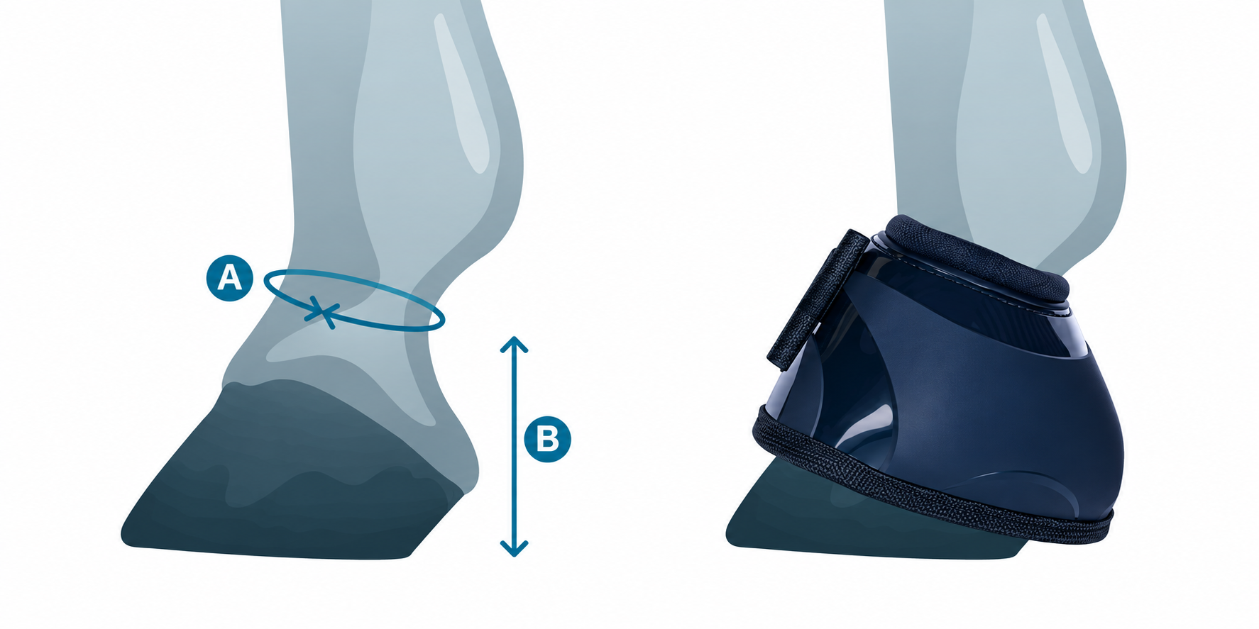 Performance Hufglocken: A: Umfang am markierten Sitz oberhalb des Hufs. B: Glockenhöhe bis zur Hufunterkante.