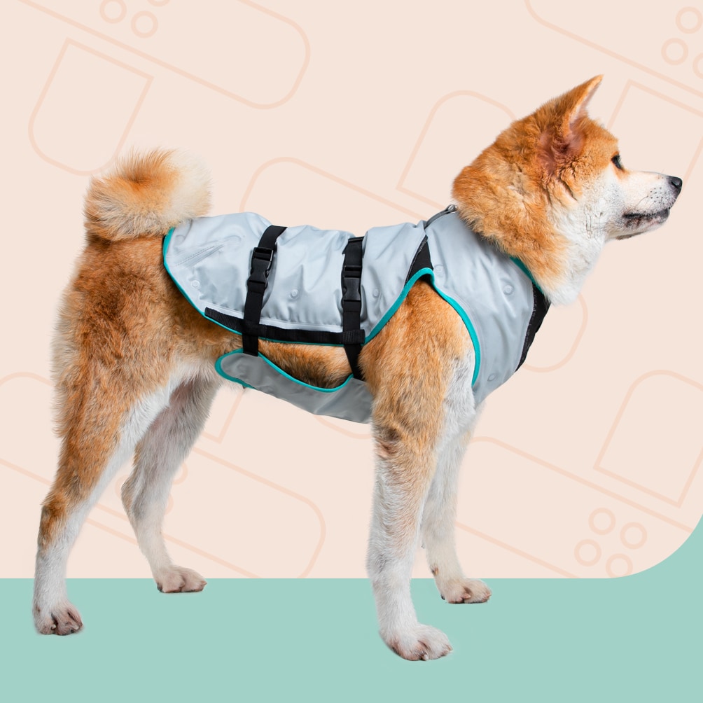 Suitical DRY Cooling Vest am Hund, vorhandene Produktansicht