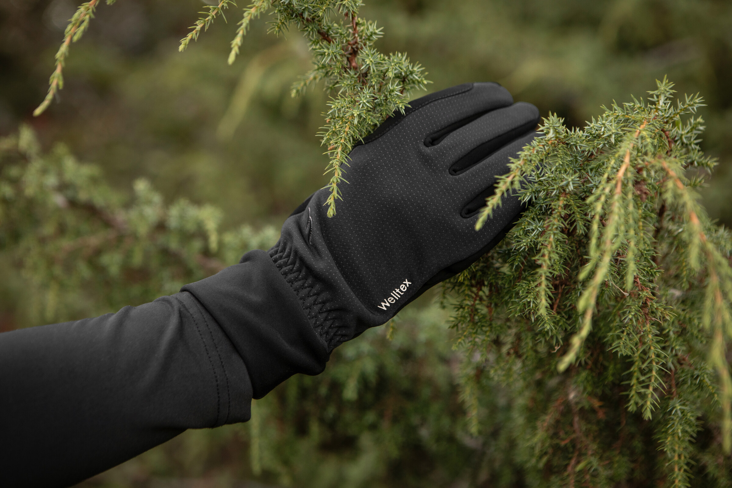 Getragener Outback Velvet Grip Handschuh an Nadelzweigen