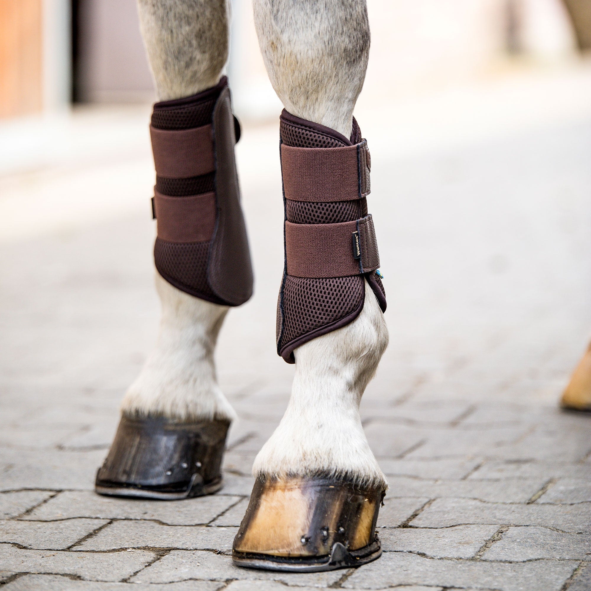 Airflow Brush Boots 2019 in Braun am hellen Pferdebein auf Pflaster