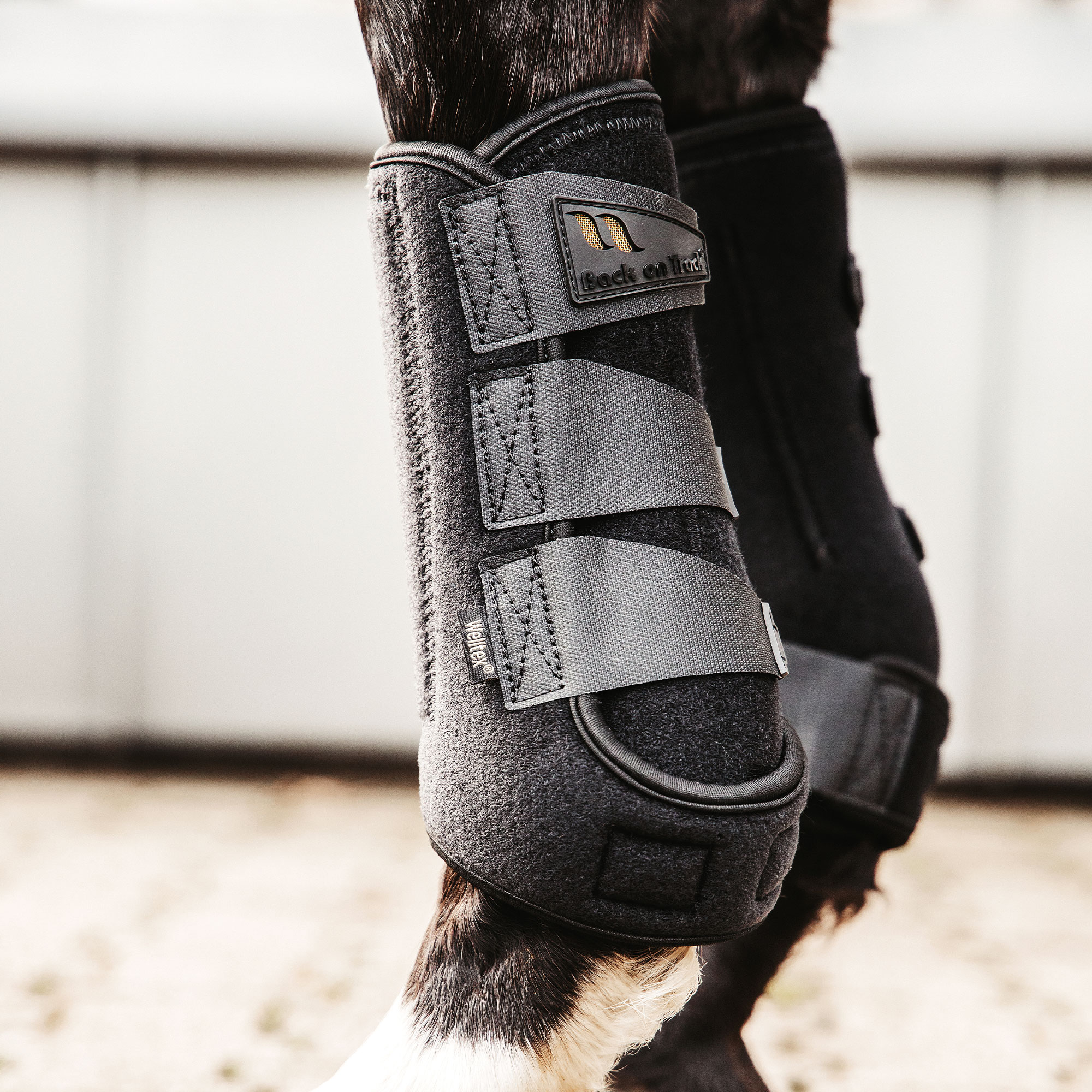 AIRFLOW Arbeitsgamasche: schwarze Gamasche am Pferdebein