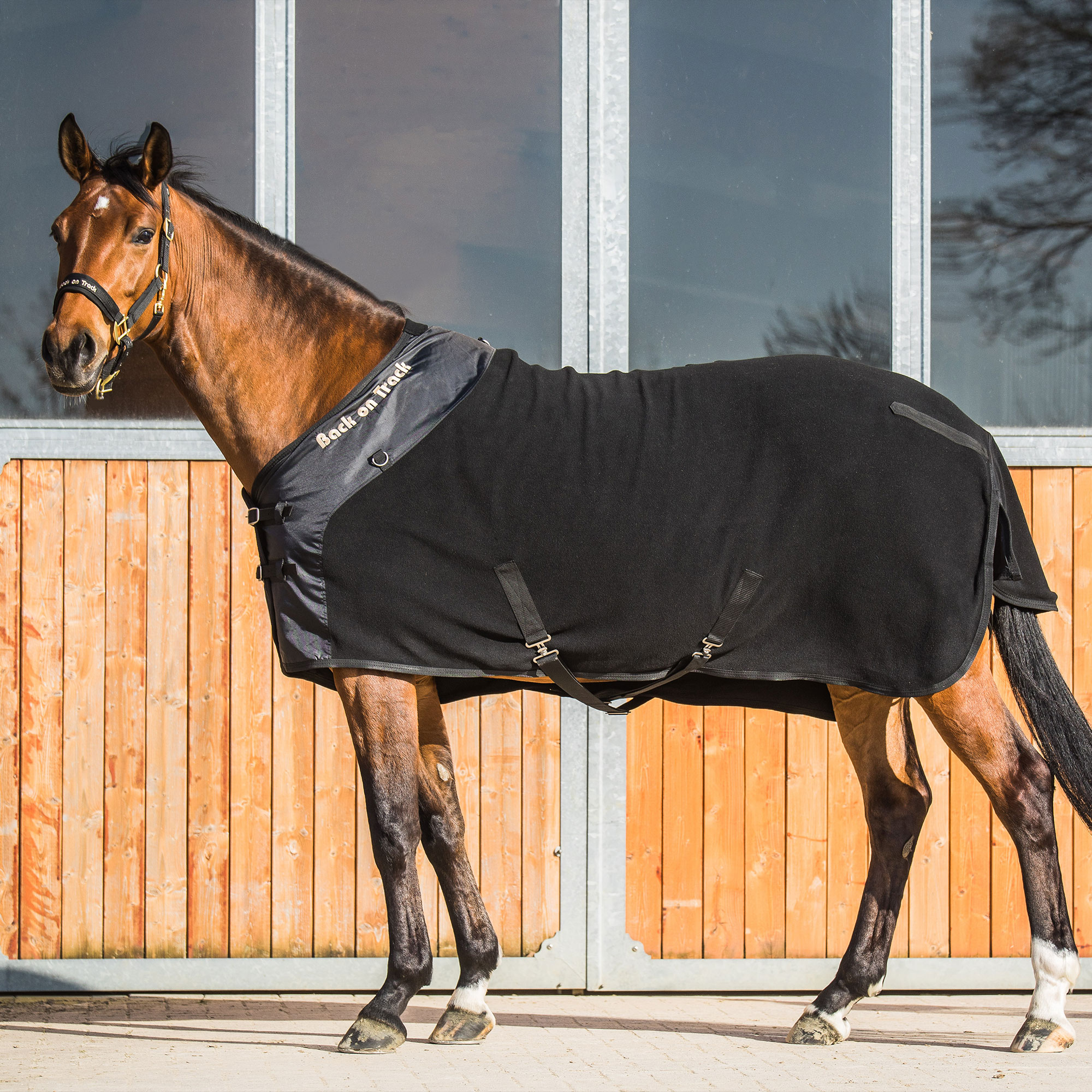 Fleecedecke Supreme mit D-Ringen 2141: am pferd vor stall