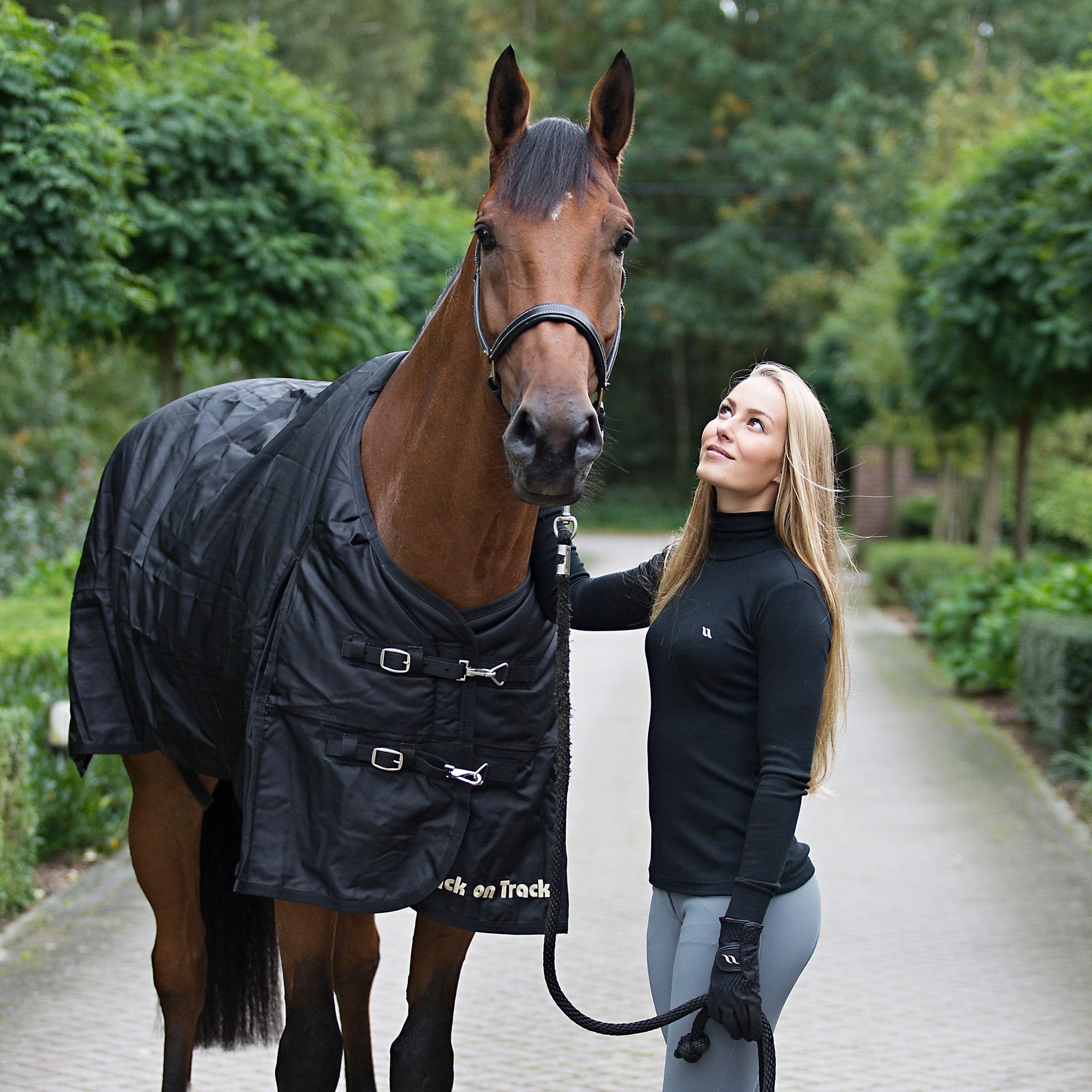 Outdoor-Decke Frost 2143: am pferd mit fuehrperson