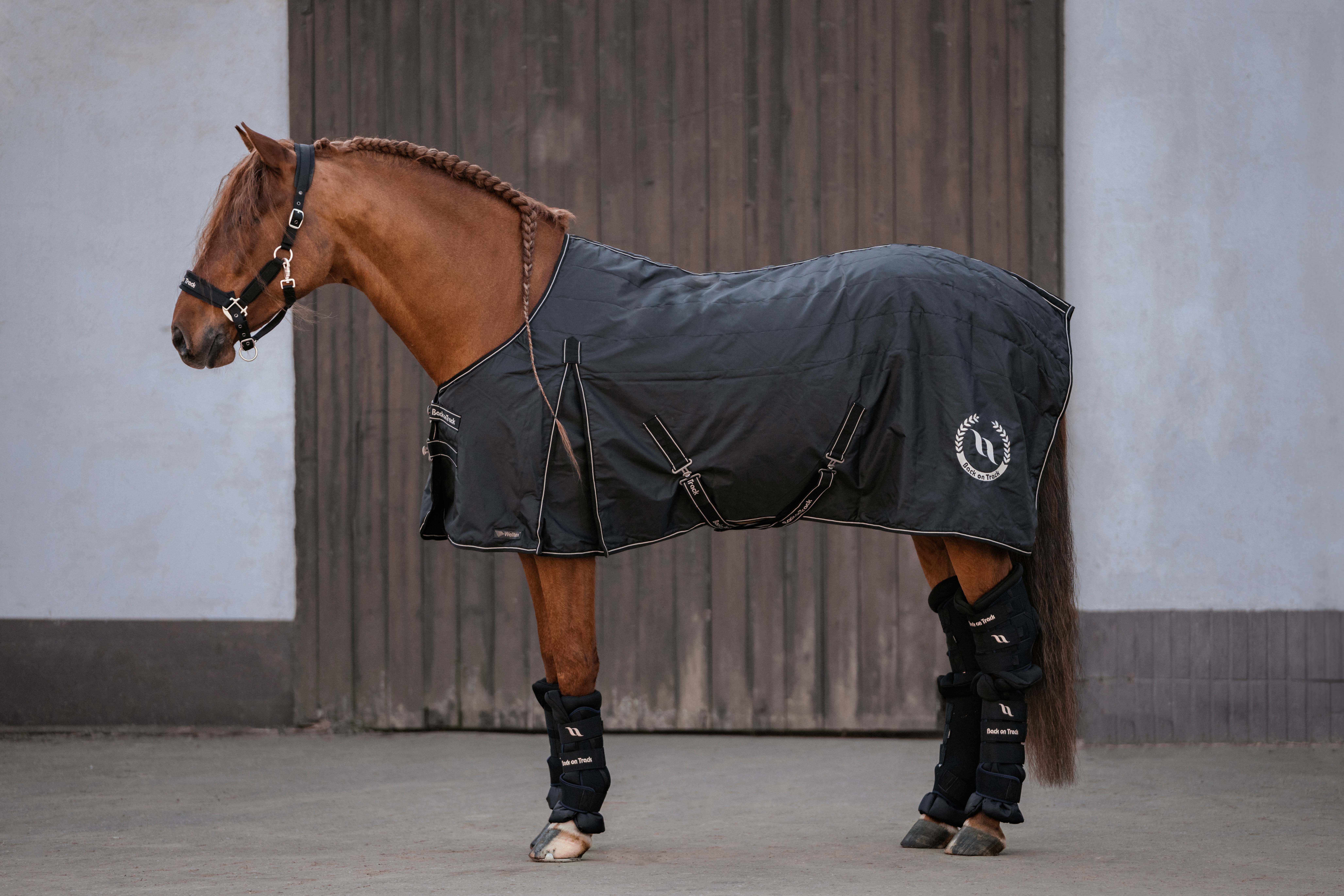 Millie Stalldecke 100 g am Pferd vor einem Stalltor