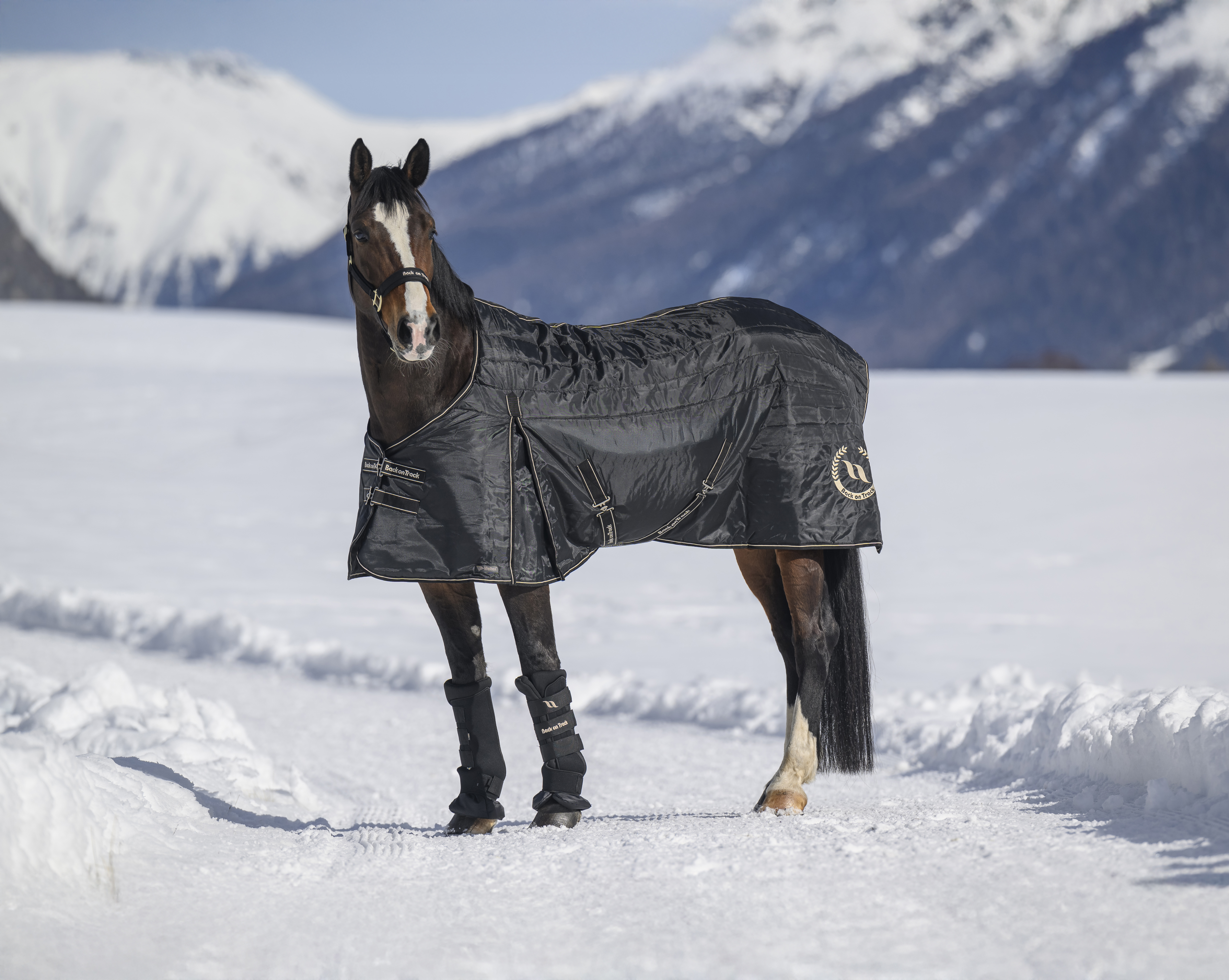 Millie Stalldecke 200 g am Pferd im verschneiten Engadin