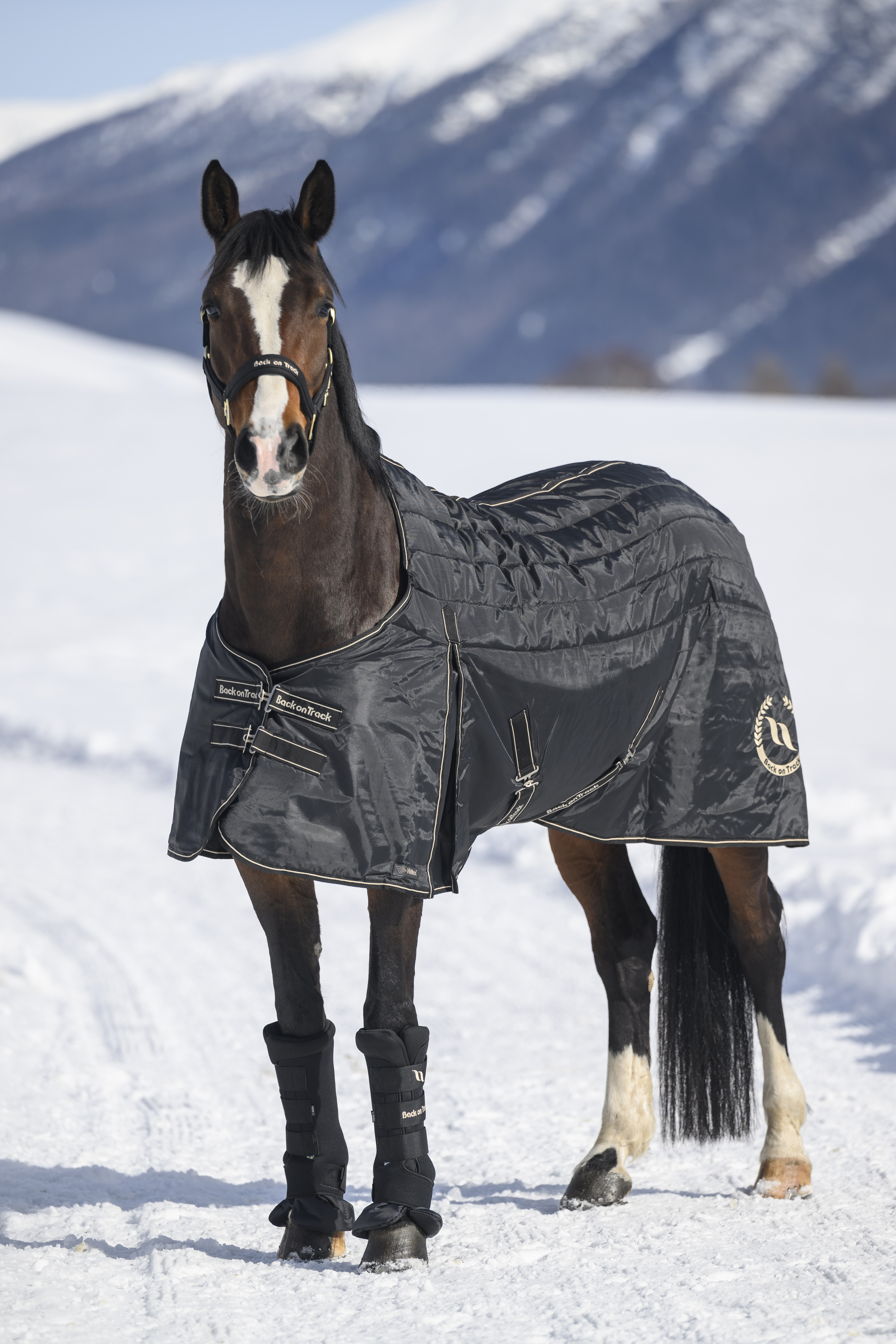 Millie Stalldecke 200 g am Pferd, Vorderansicht im Engadin