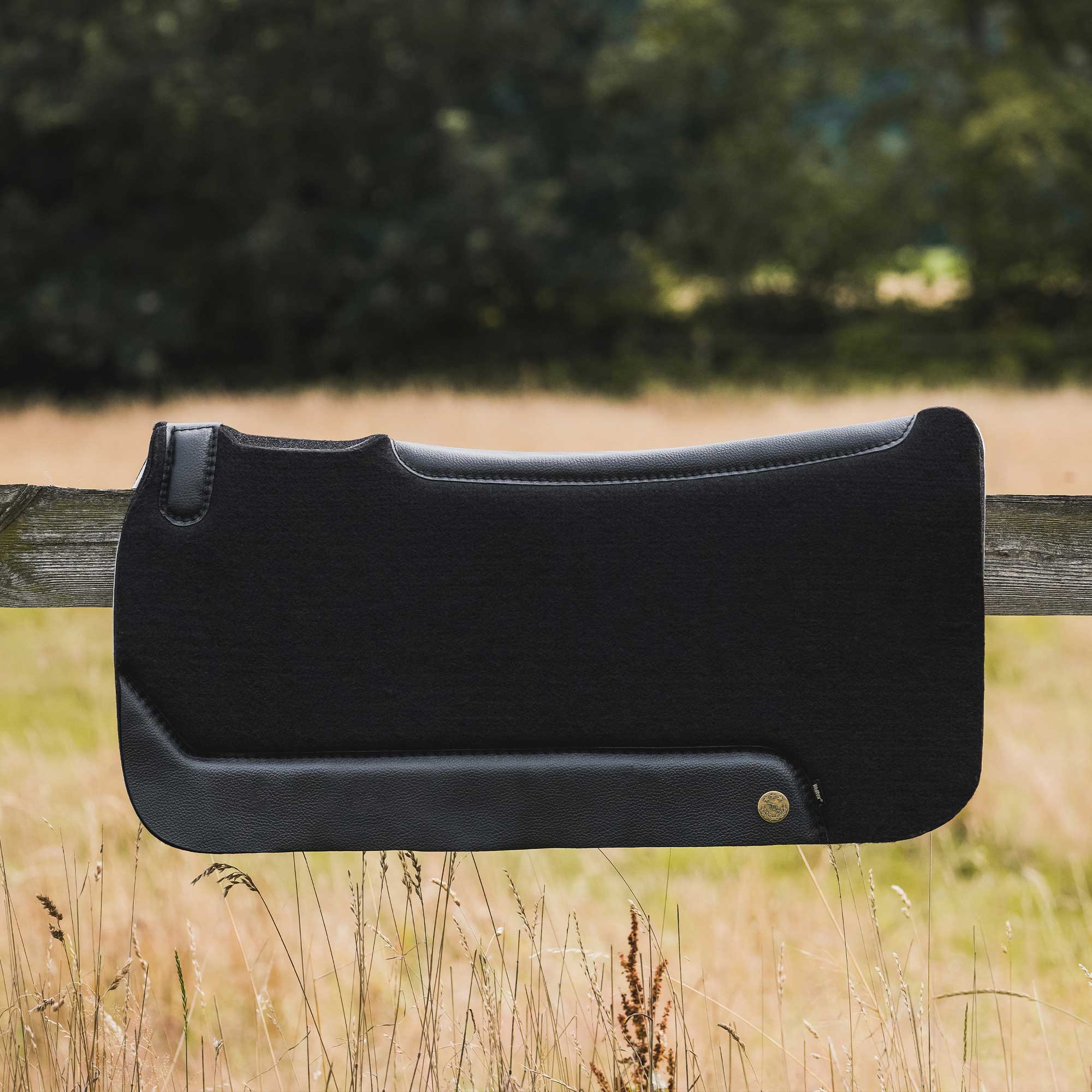Maddox Western Pad 2317: am holzzaun auf wiese
