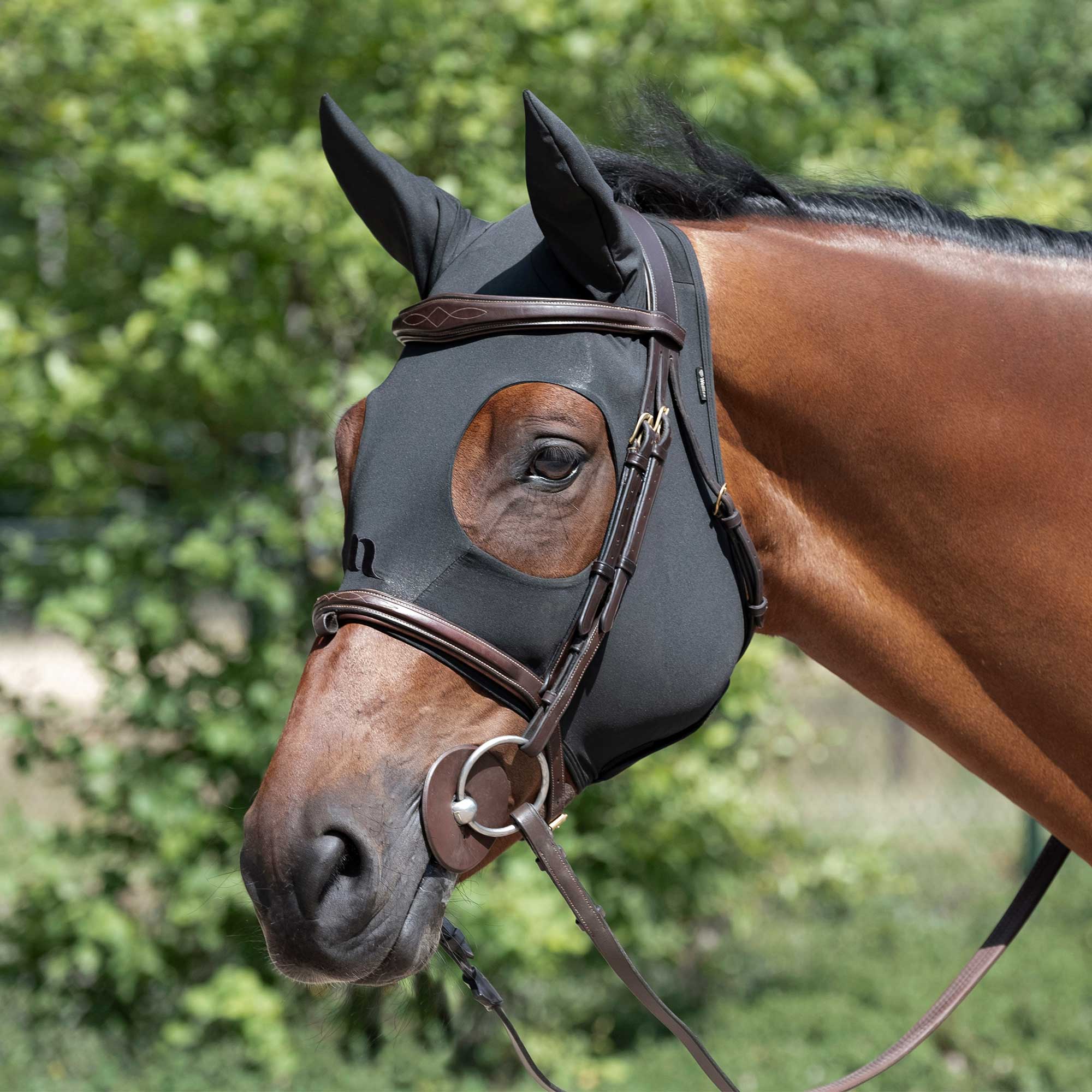 Back on Track Spirit Calming Maske mit Ohren: pferdekopf draussen