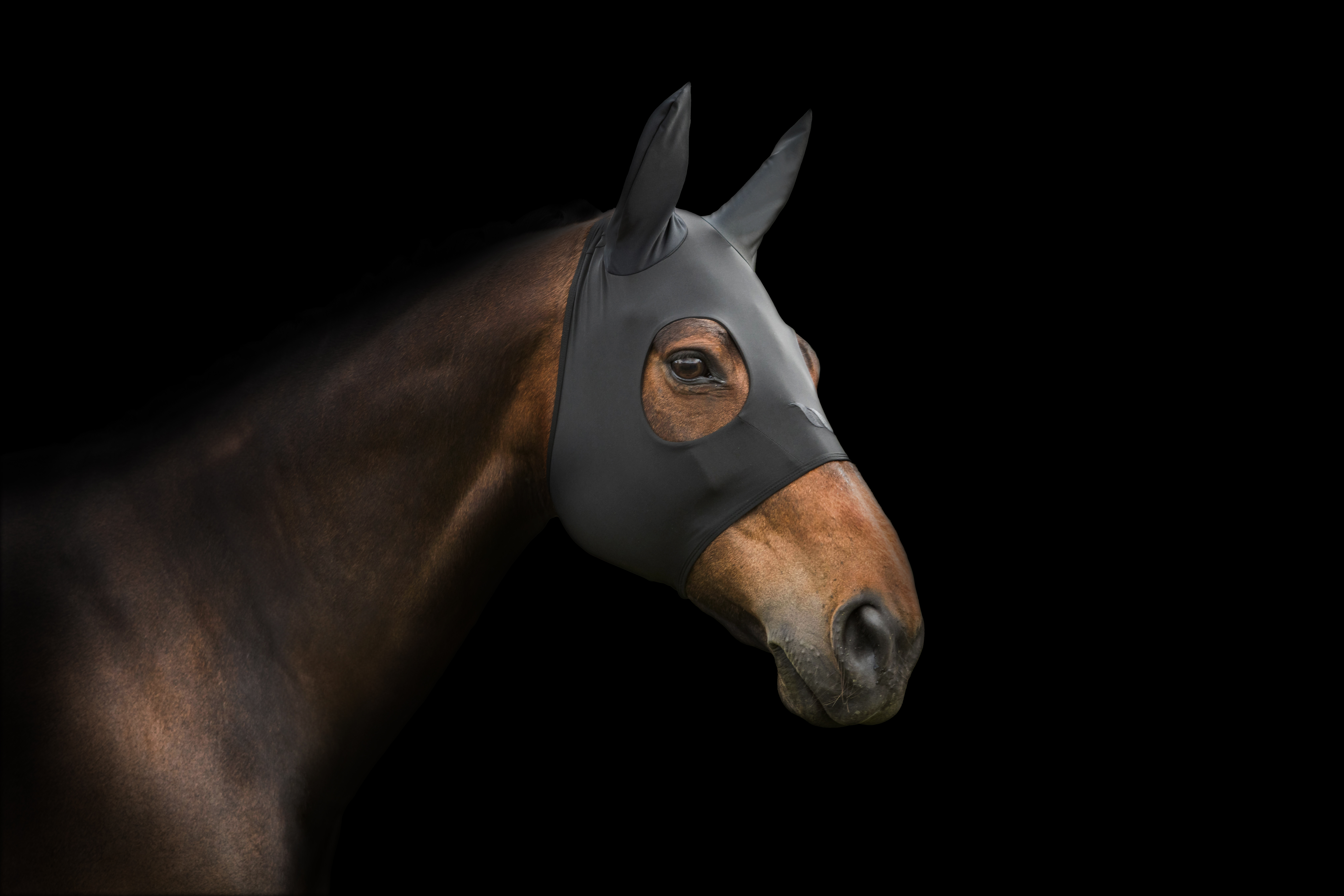 Back on Track Spirit Calming Maske mit Ohren: pferdekopf studio