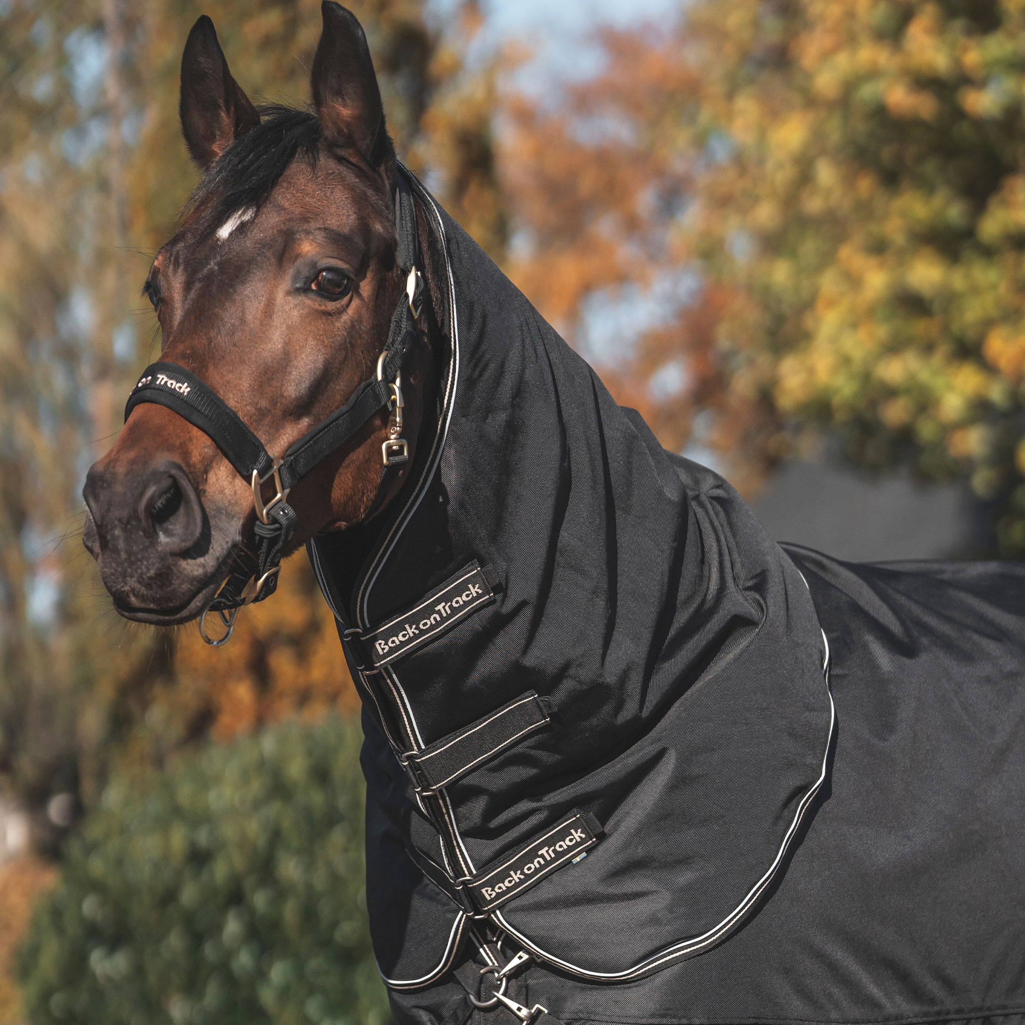Back on Track Obsidian Turnout Decke mit Halsteil 150 gr: pferd halsteil