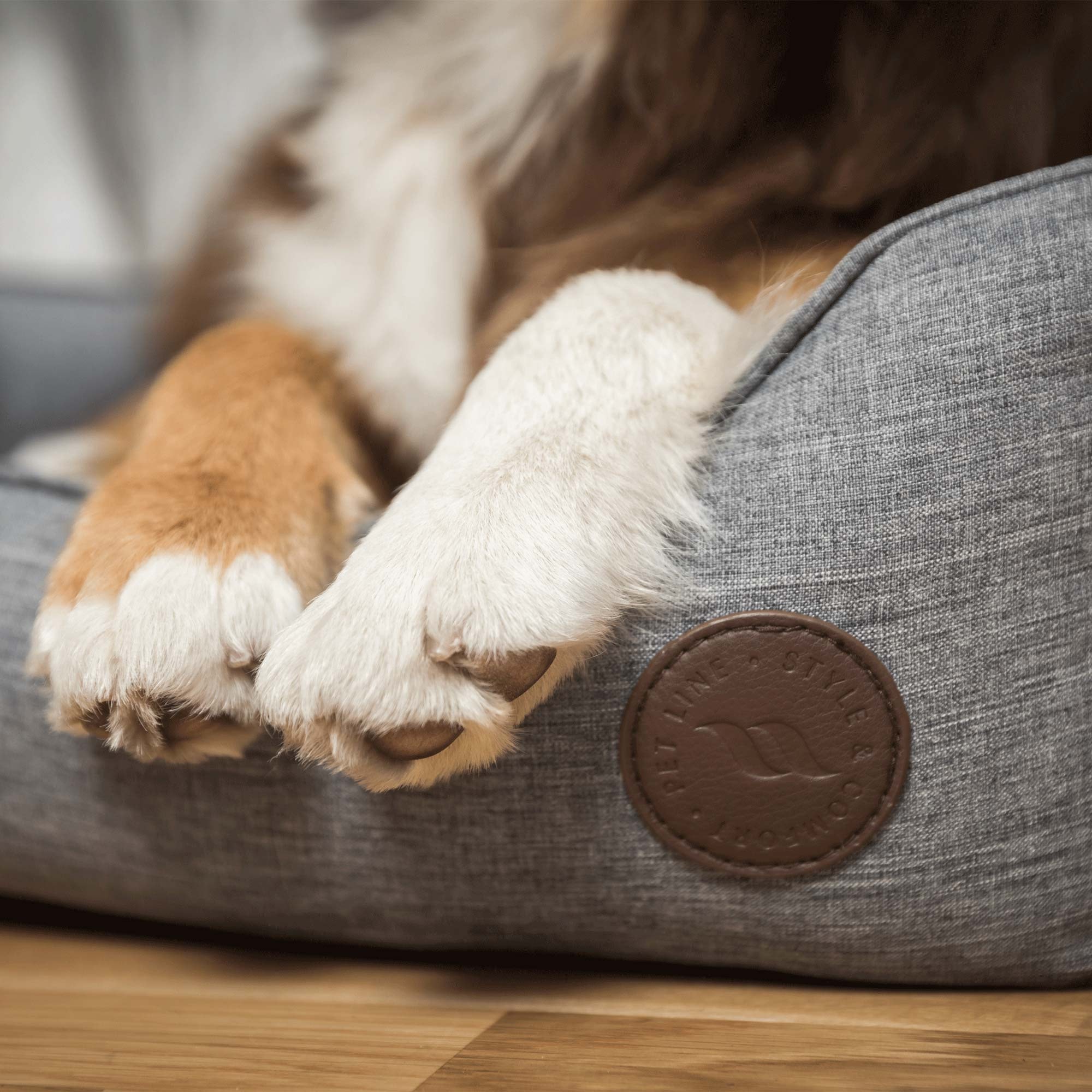 ROCKY Hundebett: Hundepfoten auf dem gepolsterten Rand