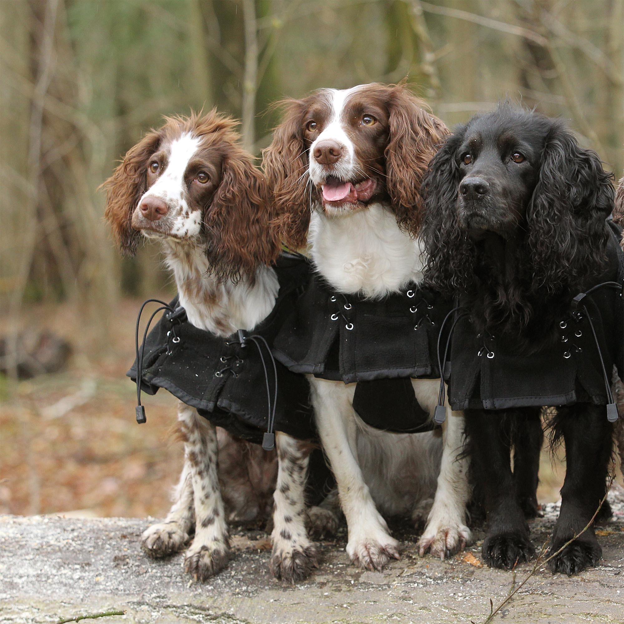 Supreme Hundefleecemantel 3223 an drei Hunden im Freien, Frontansicht