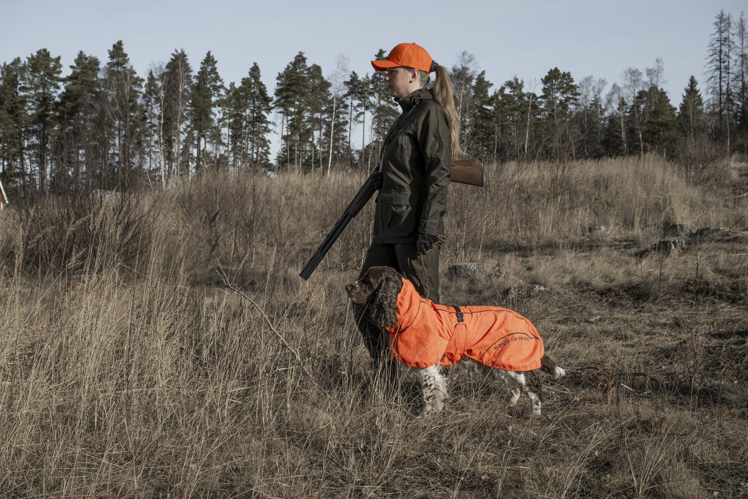 BAY Regenmantel mit niedrigem Rutenansatz in Orange am Jagdhund im Gelände