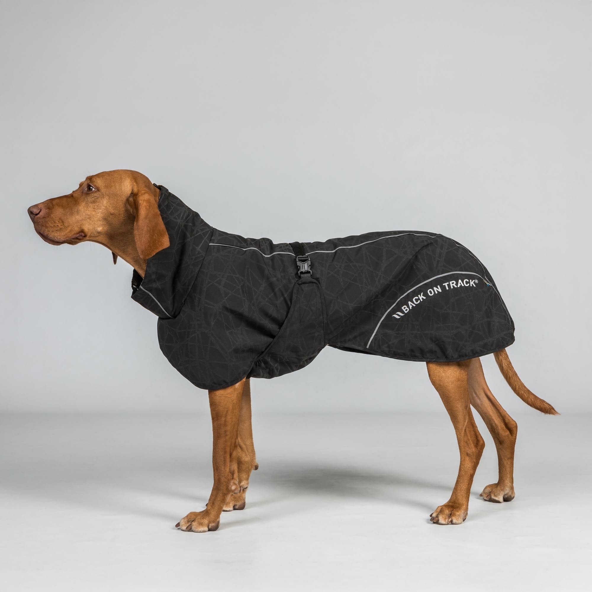 Back on Track BAY Hunde-Regenmantel, Niedriger Rutenansatz in Schwarz – Produktansicht